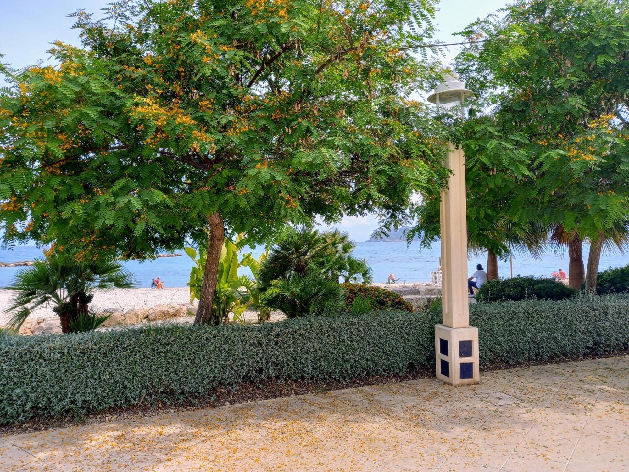 Altea Olivos G Villa Exterior photo