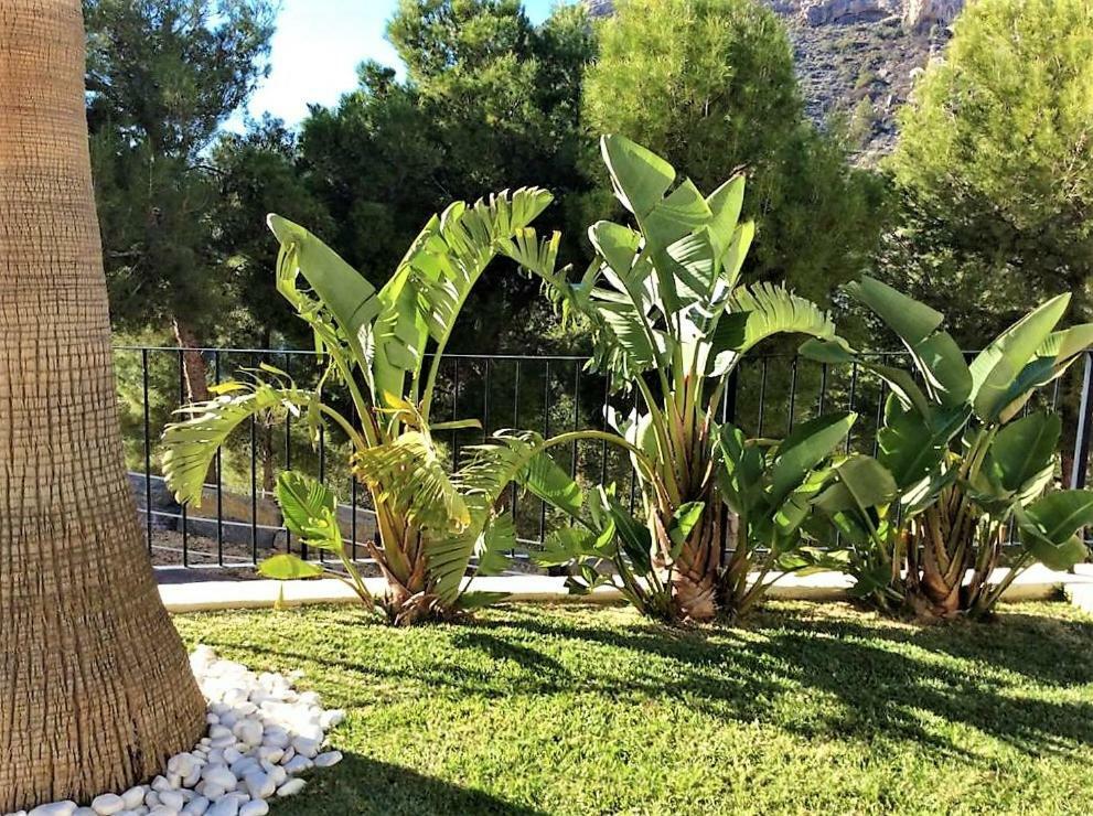 Altea Olivos G Villa Exterior photo